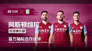 作为职业球 作为职业球